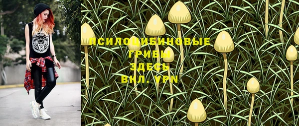 MDMA Гвардейск