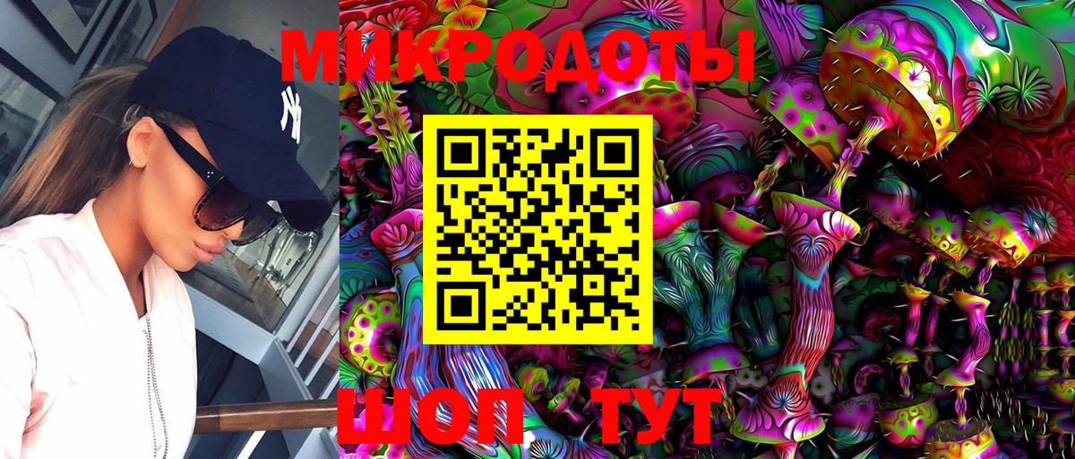Псилоцибиновые грибы Psilocybine cubensis Краснокамск