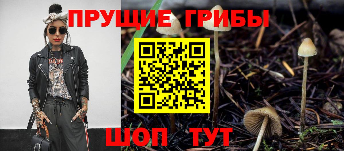 Краснокамск  Псилоцибиновые грибы мухоморы  Вход с VPN 